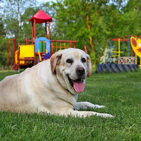 Ferienhaeuser Am Kummerower See, Дом отдыха *