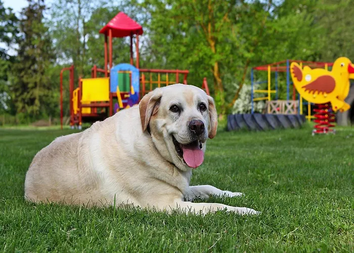 Ferienhaeuser Am Kummerower See, 別荘 *